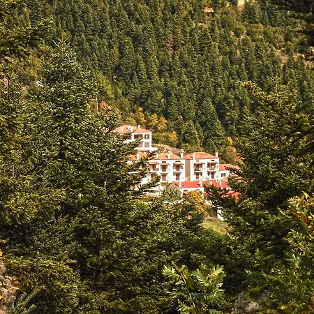 Forest View